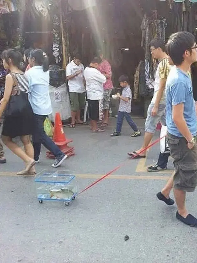 10 Potret Nyeleneh Orang Jalan-Jalan Bareng Peliharaan, Ada Anjing Masuk Tas