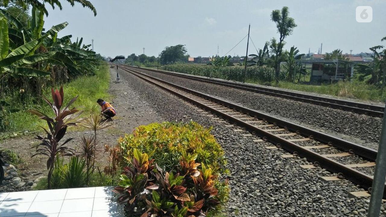 pejuang transportasi