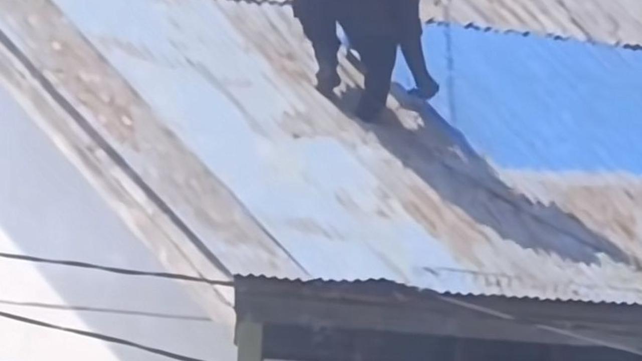 Video Kompilasi Alan Walker dengan Berbagai Pekerjaan Unik yang Viral di Media Sosial