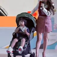 Joie Signature Parcel