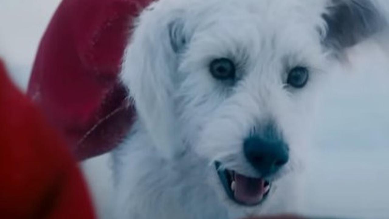 Krypto Anjing Super di film Superman 2025