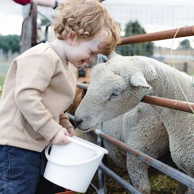 The Vintner's Daughter