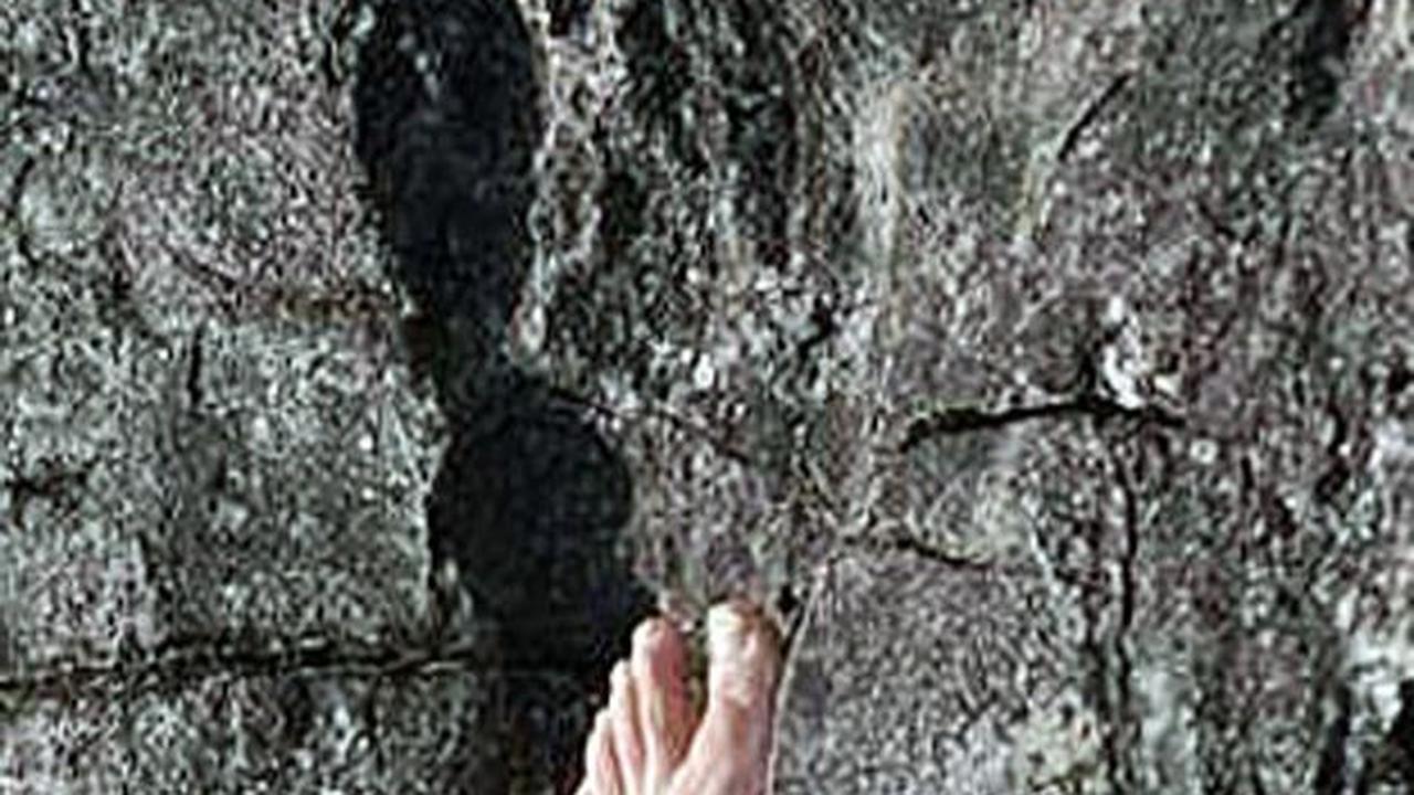 Jejak Kaki Misterius Berusia 3,1 Miliar Tahun Ditemukan di China, Diduga Milik Raksasa yang Pernah Menghuni Bumi