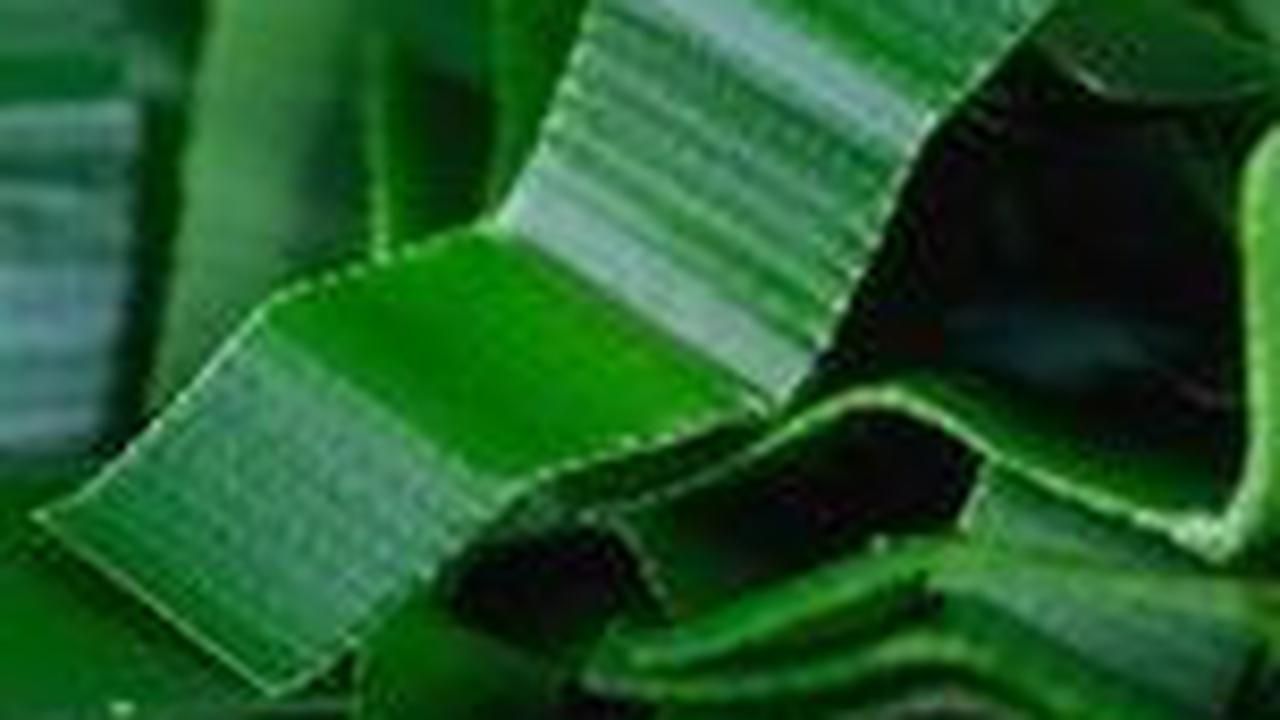 6. Daun Pandan: Aroma Wangi dan Warna Hijau<br>
