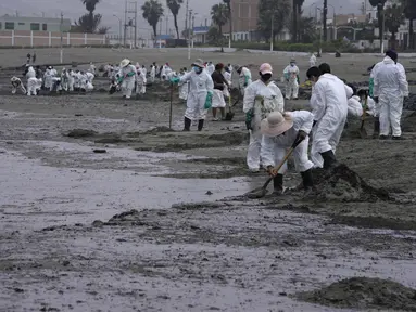 Pekerja mengenakan pakaian pelindung membersihkan Pantai Conchitas yang terkontaminasi tumpahan minyak, di Ancon, Peru, Kamis (20/1/2022). Tumpahan minyak di pantai Peru disebabkan oleh gelombang dari letusan gunung berapi bawah laut di negara Pasifik Selatan Tonga. (AP Photo/Martin Mejia)