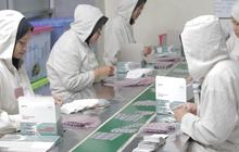 Phapros Target Penjualan Obat Tumbuh di Atas 20 Persen Sepanjang 2025, Ini Strategi Dilakukan Perusahaan