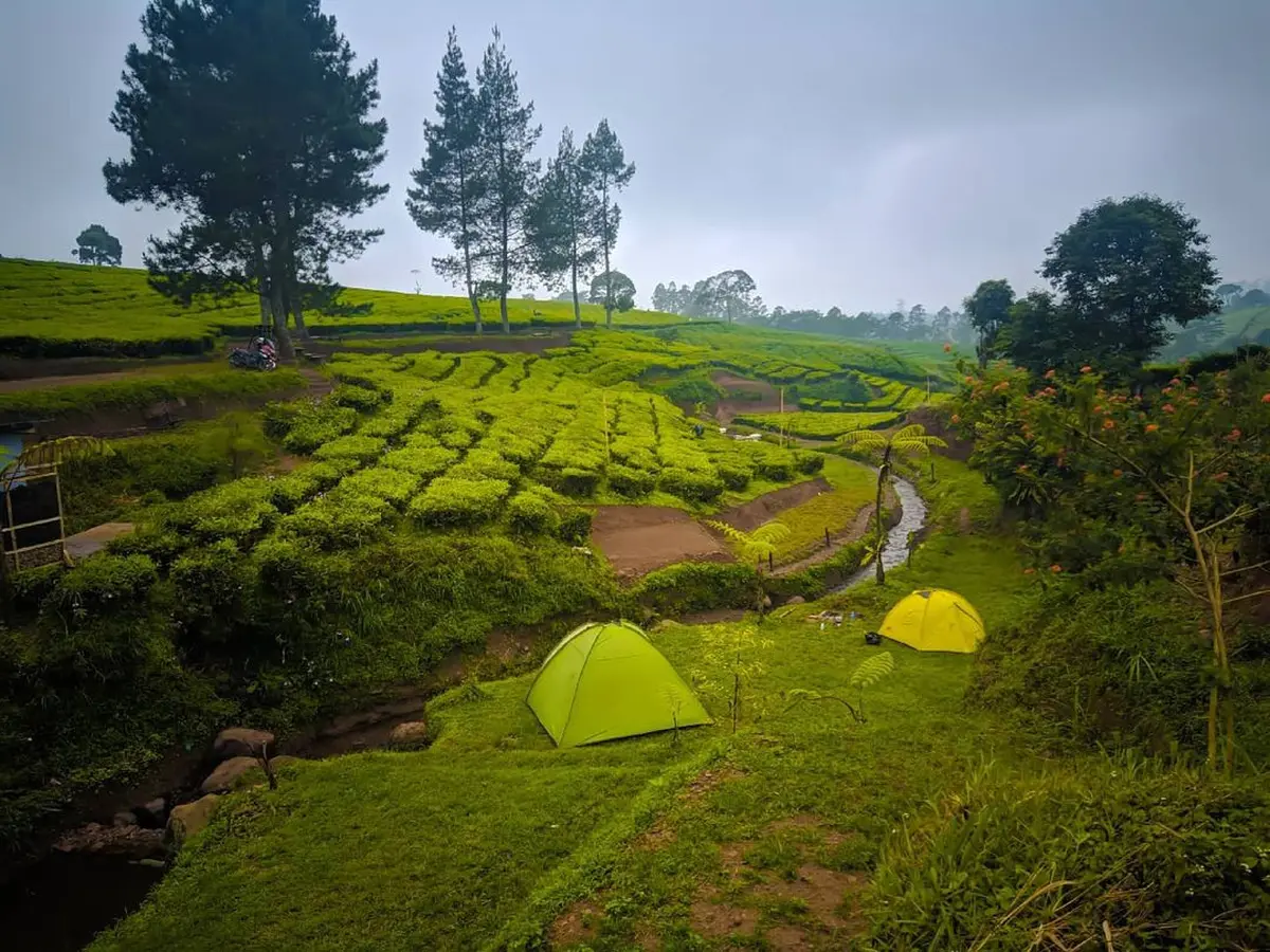 Pangalengan - Raja Wisata