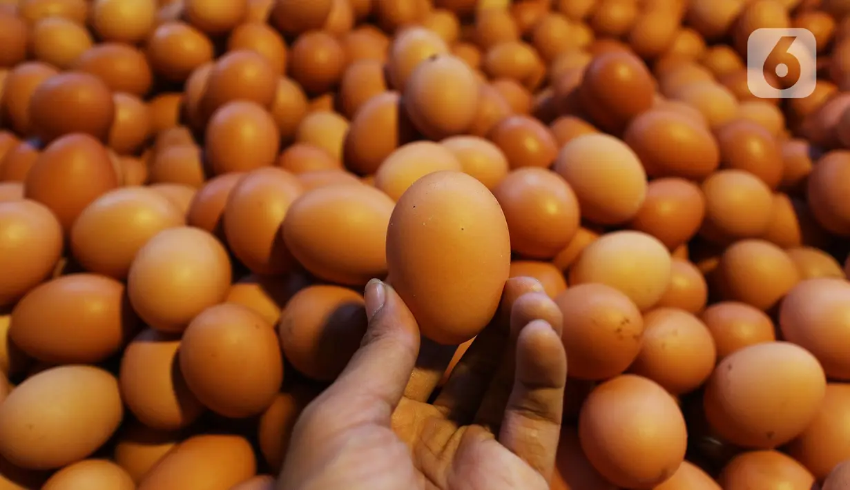 Aktivitas jual beli telur di pasar Kebayoran Lama, Jakarta, Kamis (5/7/2020). Sebenarnya telur ayam infertil atau telur HE layak konsumsi, namun lebih cepat membusuk karena berasal dari ayam betina yang sudah dibuahi pejantan sehingga seharusnya tak diizinkan dijual bebas (Liputan6.com/Johan Tallo)