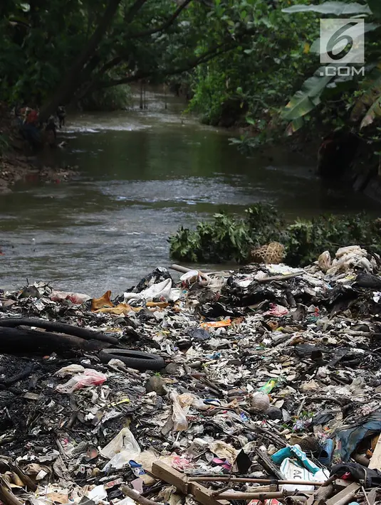 Sampah menumpuk dan menutupi sebagian aliran Kali Baru di kawasan Cibinong, Bogor, Jawa Barat, Senin (11/3). Perilaku buruk warga yang membuang sampah sembarangan menyebabkan kondisi kali dipenuhi sampah rumah tangga. (Liputan6.com/Immanuel Antonius)