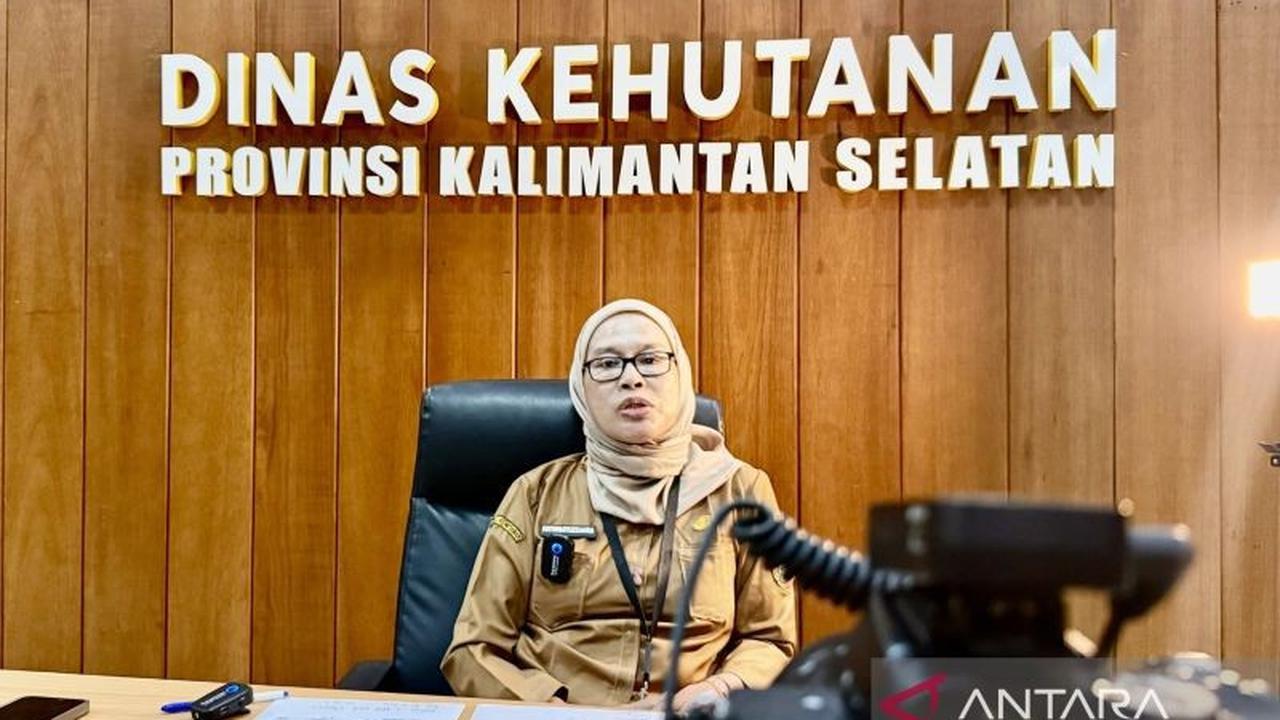 Tahukah Anda? Dishut Kalsel Perluas Pasar HHBK Binaan Lewat 'Rimba Mart' di Hutan Hujan Tropis Indonesia