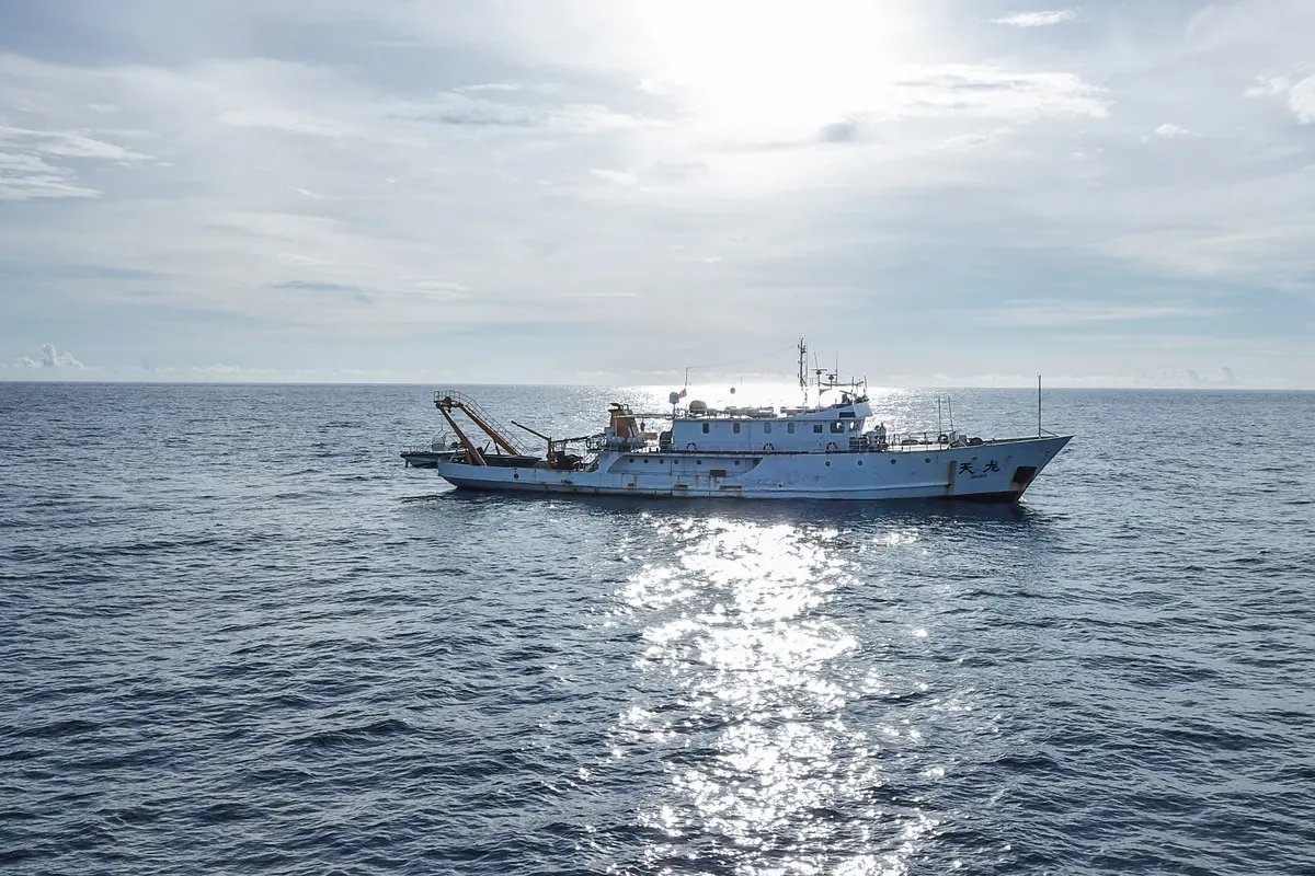 FOTO: Peneliti Temukan 11 Spesies Paus di Laut China Selatan
