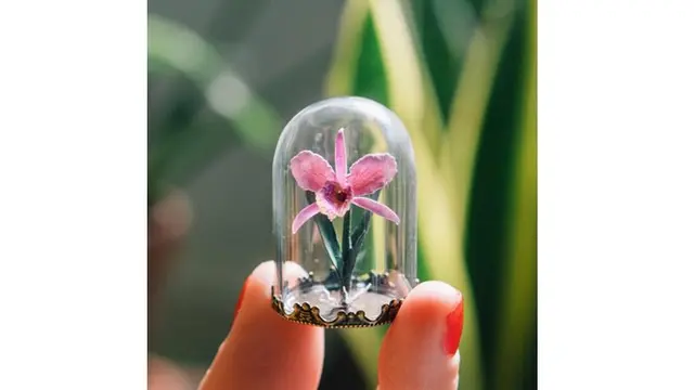 Salah satu miniatur tanaman yang dilihat dari jarak dekat, karyanya memiliki besar sekitar ibu jari saja.