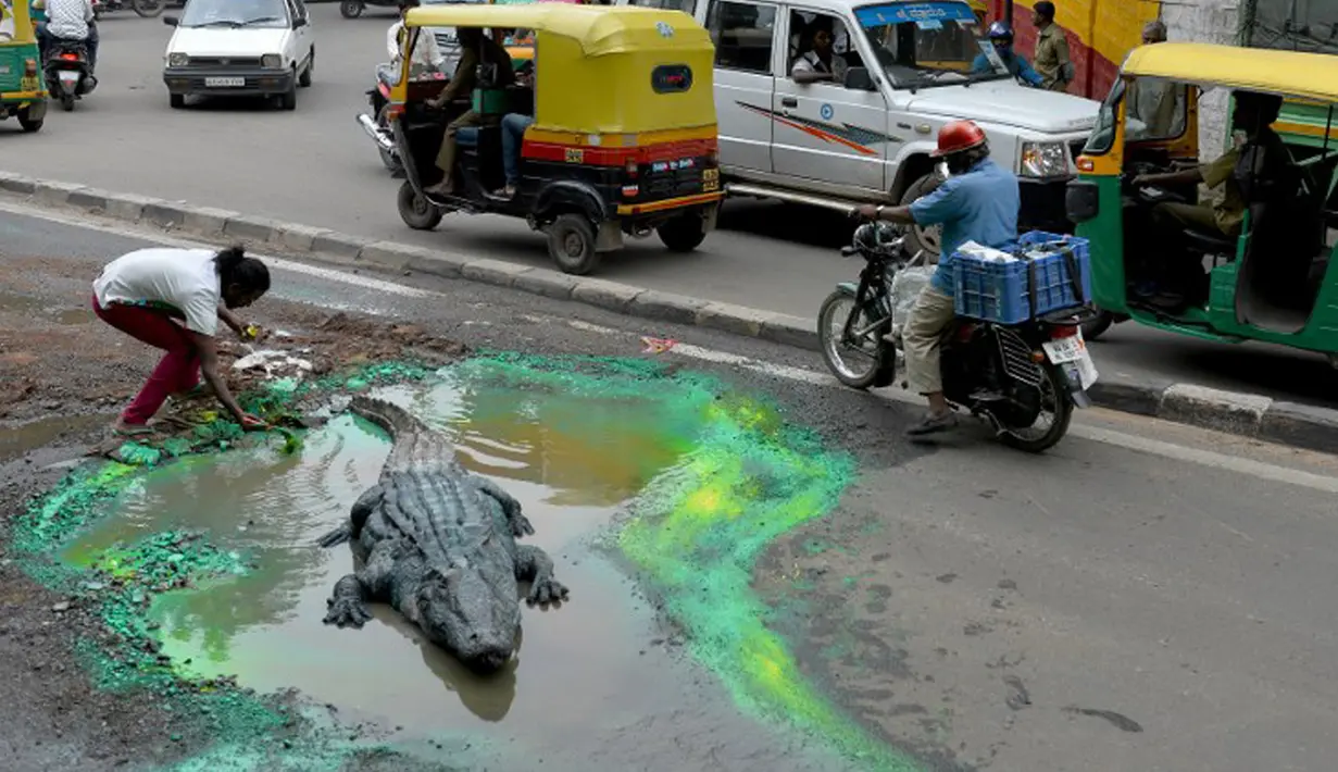 Seniman Baadal Nanjundaswamy meletakkan boneka buaya di atas jalan berlubang di Sultanpalya, Bangalore, India, Kamis (18/6/2015). Aksi protes tersebut untuk mendesak pemerintah agar segera memperbaiki jalan yang rusak. (AFP PHOTO/ Manjunath KIRAN)