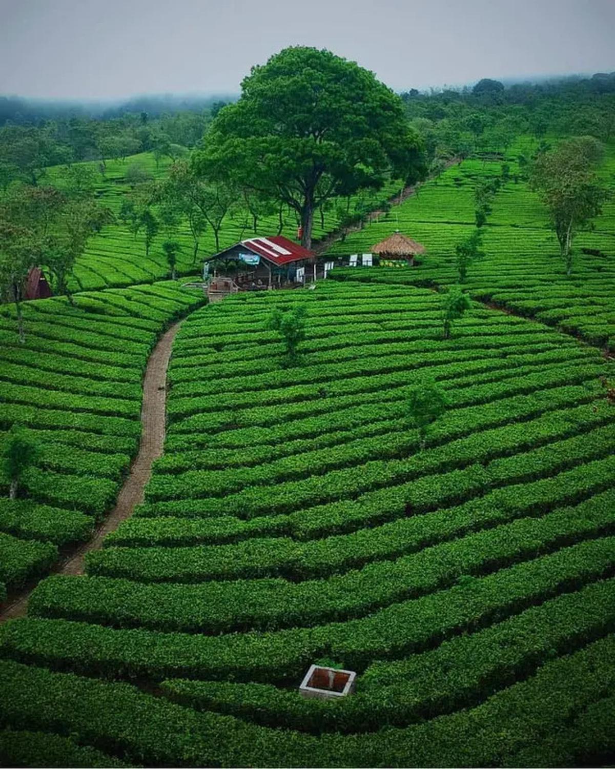 Destinasi Wisata Alam Malang Murah Terbaru 2025, Lengkap dengan Harga Tiketnya
