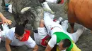 Sejumlah peserta terjatuh saat diseruduk banteng selama hari ketiga Festival San Fermin di Pamplona, Spanyol utara, (9/7). Ratusan orang dari seluruh dunia  setiap tahunnya ambil bagian dalam Festival Adu Banteng, San Fermin. (AFP Photo/Ander Gillenea)