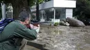 Petugas mengarahkan senapan pembius ke arah kuda nil yang berkeliaran di tengah kota di Tbilisi, Georgia, Minggu (14/6/2015). Banjir yang melanda daerah tersebut menyebabkan sejumlah hewan lepas dari kebun binatang. (REUTERS/Beso Gulashvili)