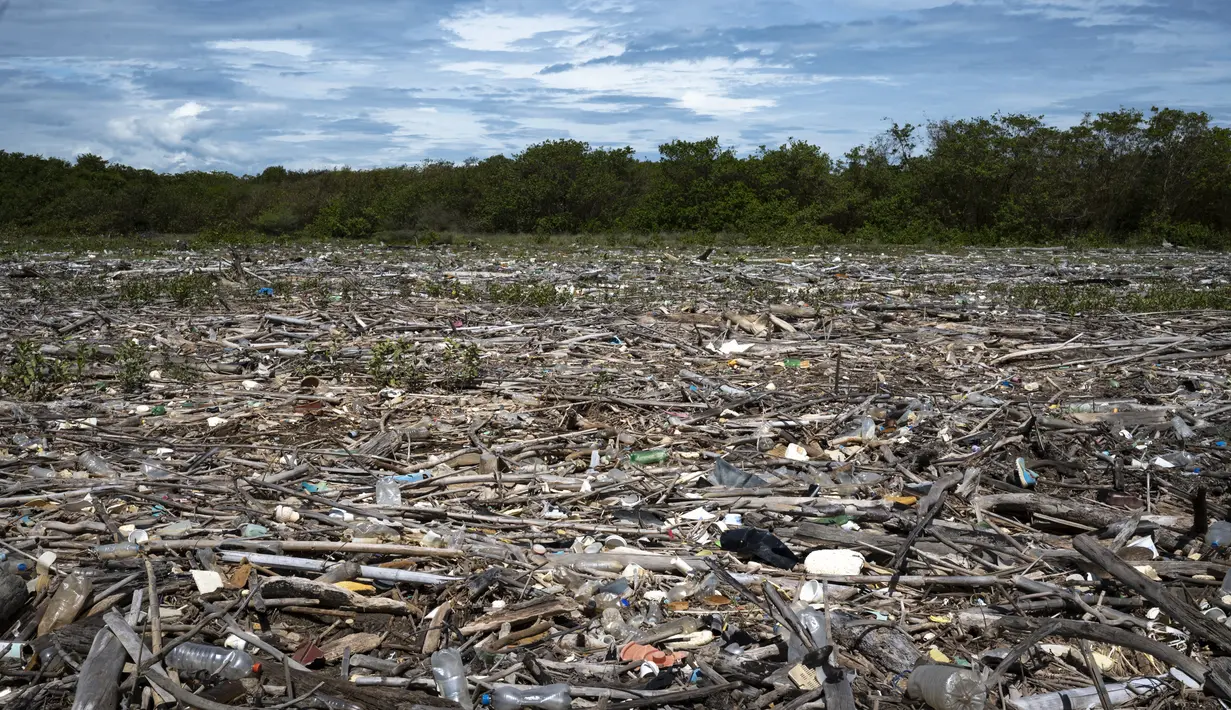 Berton-ton sampah termasuk limbah rumah sakit, botol dan wadah plastik, kayu, dan bahan lain yang dikumpulkan oleh sungai Guaire dan Tuy dalam perjalanannya melalui negara bagian Miranda dan Aragua di Venezuela, mencapai pantai melalui muara di pantai Paparo. (Yuri CORTEZ / AFP)