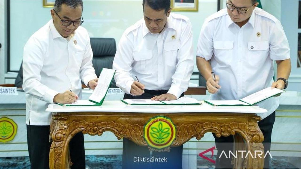 Mendiktisaintek Tekankan Peran Kampus dalam Hilirisasi Pertanian, Kolaborasi Kunci Ketahanan Pangan Nasional