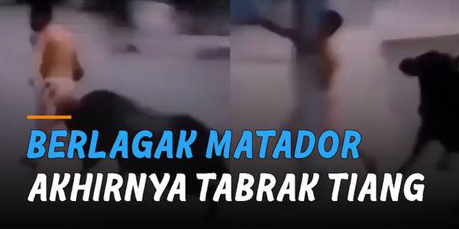 VIDEO: Ngilu, Pria Berlagak Seperti Matador Akhirnya Tabrak Tiang
