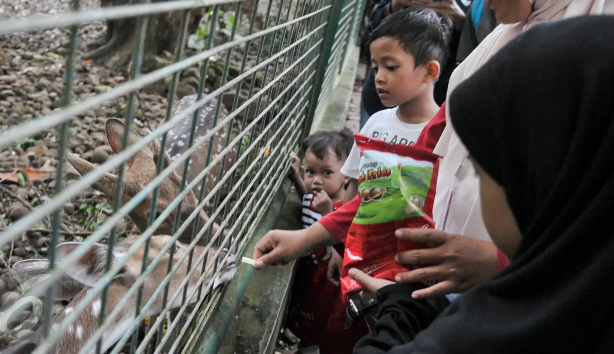 Warga bersama anaknya melihat rusa di Taman Margasatwa Ragunan, Jakarta Selatan, Selasa (28/3). Para pengunjung selain mengggunakan kendaraan umum, juga banyak yang menggunakan kendaraan pribadi. (Liputan6.com/Yoppy Renato)