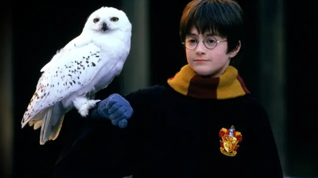 [Bintang] Harry Potter