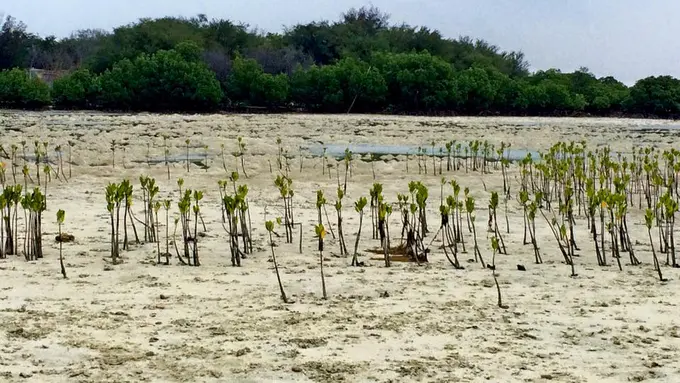 Pulau Pari, Melihat Jakarta di Panorama yang Sama Sekali Berbeda