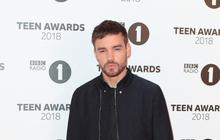 Menguak Fakta Masa-masa sulit Laim Payne Sebelum Meninggal Dunia