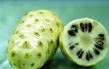 Resep Air Rebusan Mengkudu, Minuman Herbal Penakluk Kolesterol dan Asam Urat