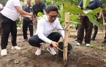 Pemkot Denpasar Gencarkan Penanaman Pohon untuk Pulihkan Ekosistem DAS dan Paru-paru Kota
