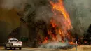 Sebuah truk melintas dekat kobaran api dalam kebakaran hutan yang dijuluki Carr Fire di Whiskeytown, California, Jumat (28/7). Lebih  3.000 warga terpaksa meninggalkan rumah mereka di kawasan resor pegunungan akibat meluasnya kebakaran. (AP/Noah Berger)
