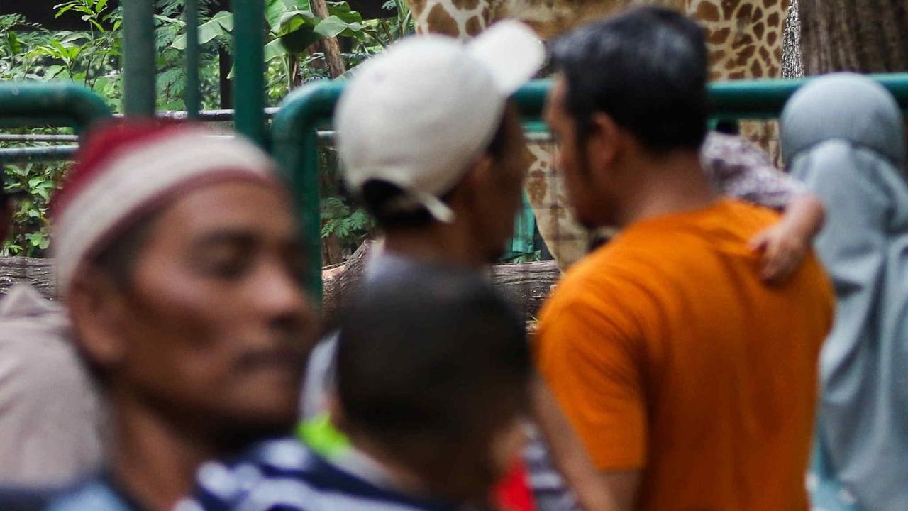 FOTO: Puluhan Ribu Wisatawan Kunjungi Taman Margasatwa Ragunan di Libur Natal