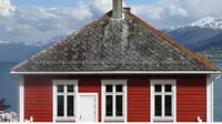 Gaya Skandinavia juga fokus pada penataan yang dapat menghidupkan ruangan dan juga membiarkan tempat penyimpanan dalam keadaan terbuka.