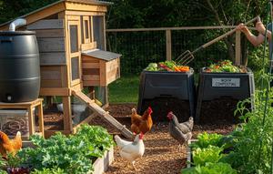 Cara Membuat Kebun Ayam Zero Waste (Image by Gemini AI)