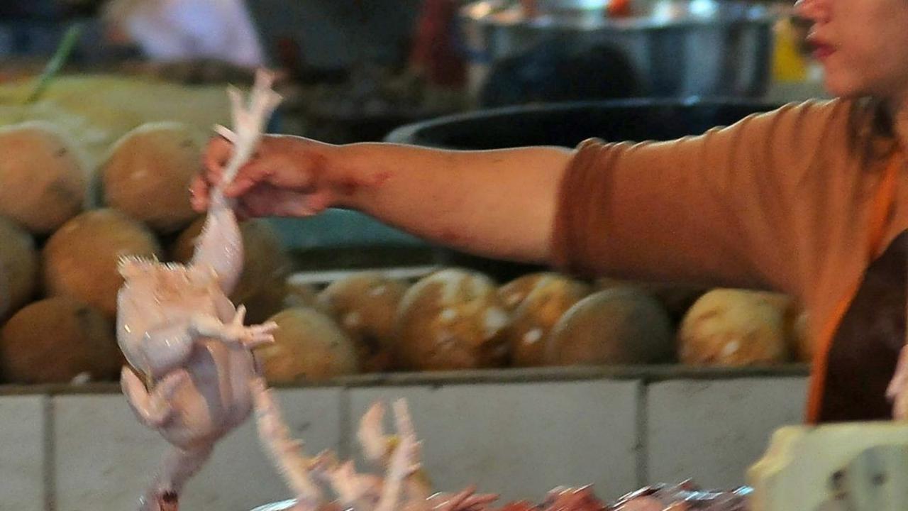 Setelah kenaikan harga beras, sejumlah bahan pokok lainnya juga mengalami lonjakan di pasar-pasar tradisional.<br><br>Salah satu yang menarik perhatian adalah ayam negeri atau ras yang turut terkena dampaknya. Foto: merdeka.com / Imam Buhori