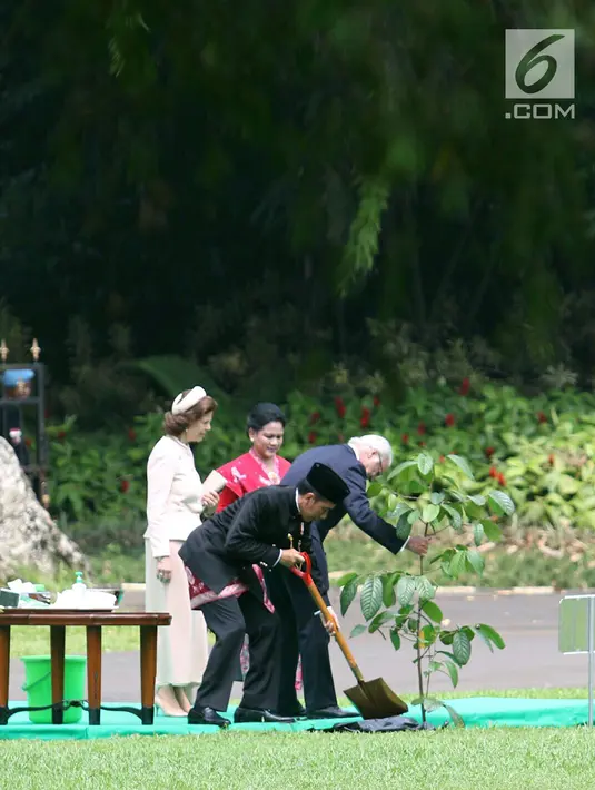 Presiden Joko Widodo menanam pohon saat kedatangan Raja Carl XVI Gustaf di Istana Bogor, Jawa Barat, Senin (22/5). Jokowi mengajak Raja Carl XVI Gustaf dan Ratu Sylvia melihat patung Hand of God serta menanam pohon. (Liputan6.com/Angga Yuniar)