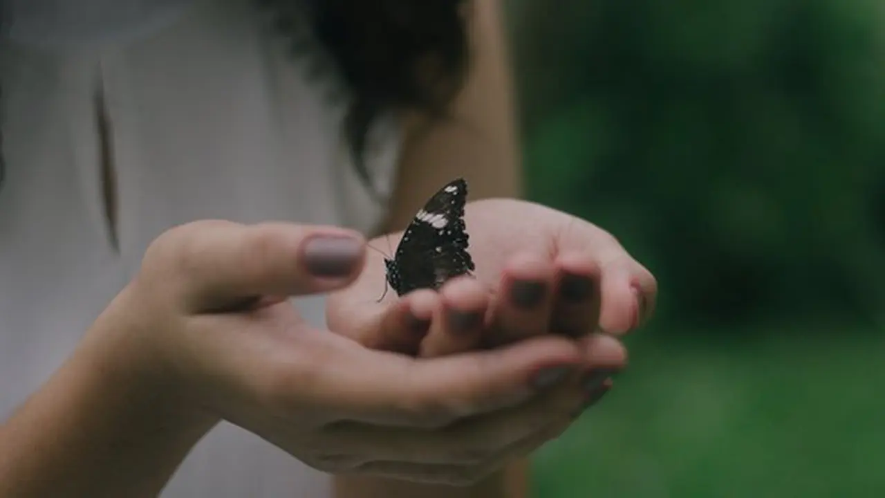 Ilustrasi./Copyright unsplash.com/john reign abarintos