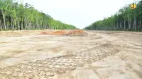 Pembangunan Ruas Tol Kramasan-Musi Landas-Betung 69 Km Resmi Dimulai