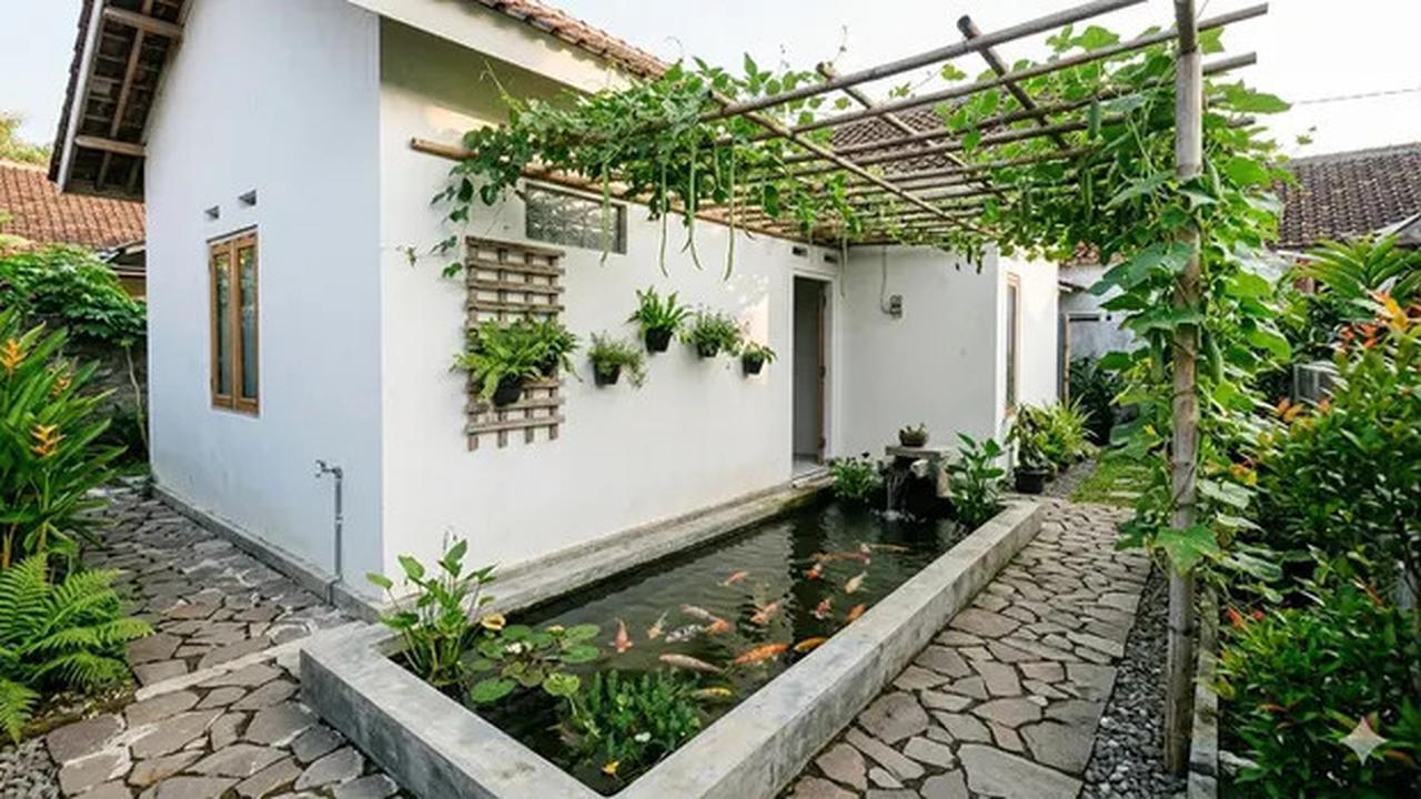 5 Inspirasi Model Kolam Ikan Memanjang di Samping Rumah Subsidi yang Menenangkan