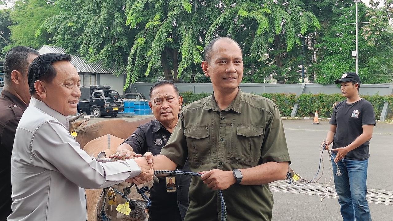 Surya Citra Media Kembali Bagikan 71 Hewan Kurban untuk Masyarakat