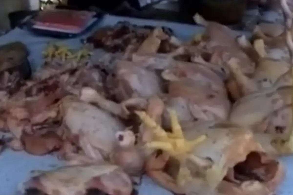 20150820-Daging Ayam-Jakarta