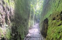 Asyiknya Menjelajahi Lorong Lumut di Lembang, Syahdu saat Hujan