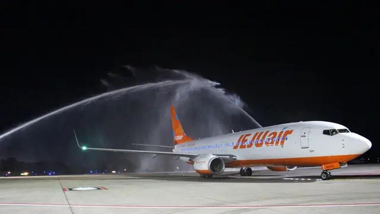 Pesawat Jeju Air yang Bawa 175 Penumpang dan Jatuh di Bandara Muan Korea Diduga Tabrakan dengan Burung