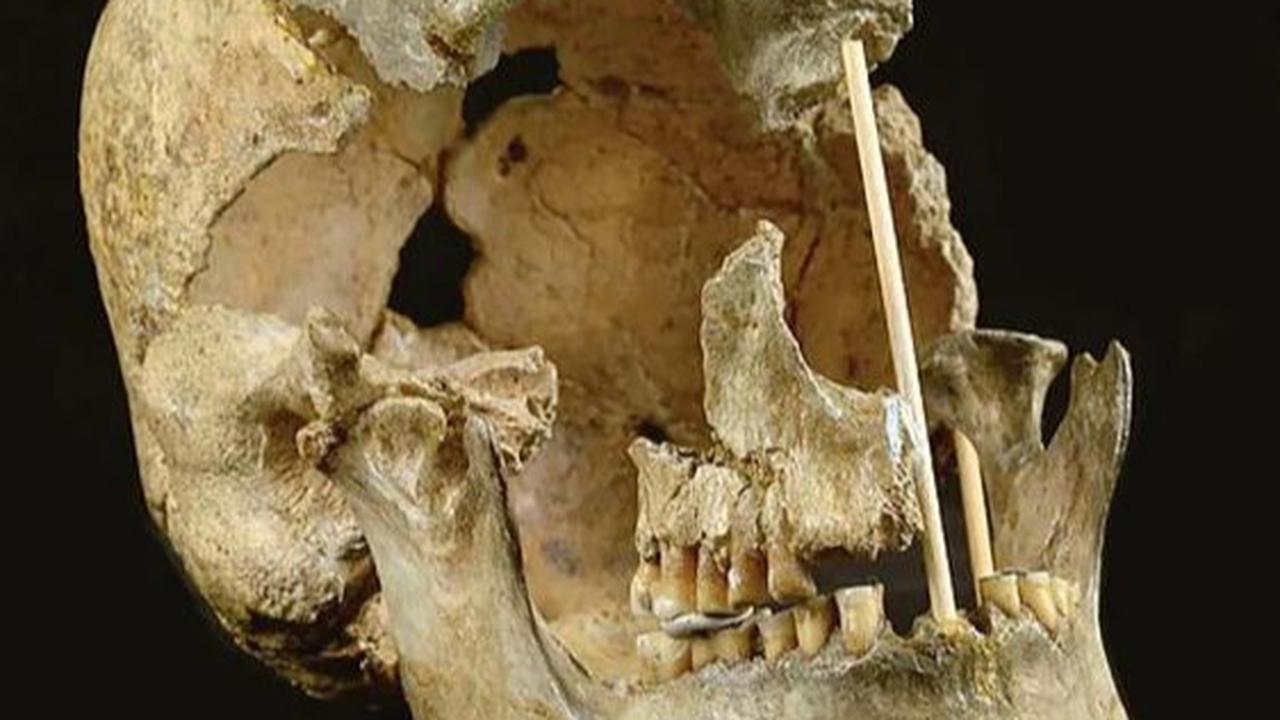 Ilmuwan Temukan DNA Homo Sapiens Tertua, Ungkap Cabang Pohon Keluarga Manusia yang Hilang