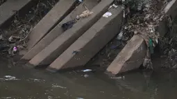 Kondisi tiang pancang untuk pembangunan dinding turap yang terbengkalai di Kali Ciliwung, Rawajati, Kalibata, Jakarta, Jumat (25/9/2020). Tumpukan tiang pancang untuk pembangunan dinding turap sebagai bagian dari proyek normalisasi Kali Ciliwung itu tampak terbengkalai. (merdeka.com/Imam Buhori)