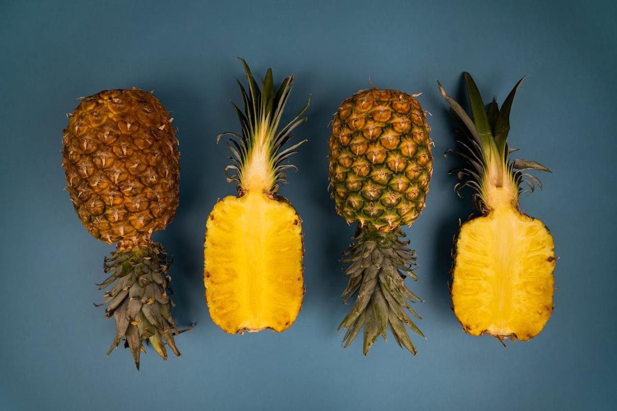 Ilustrasi Buah Nanas
