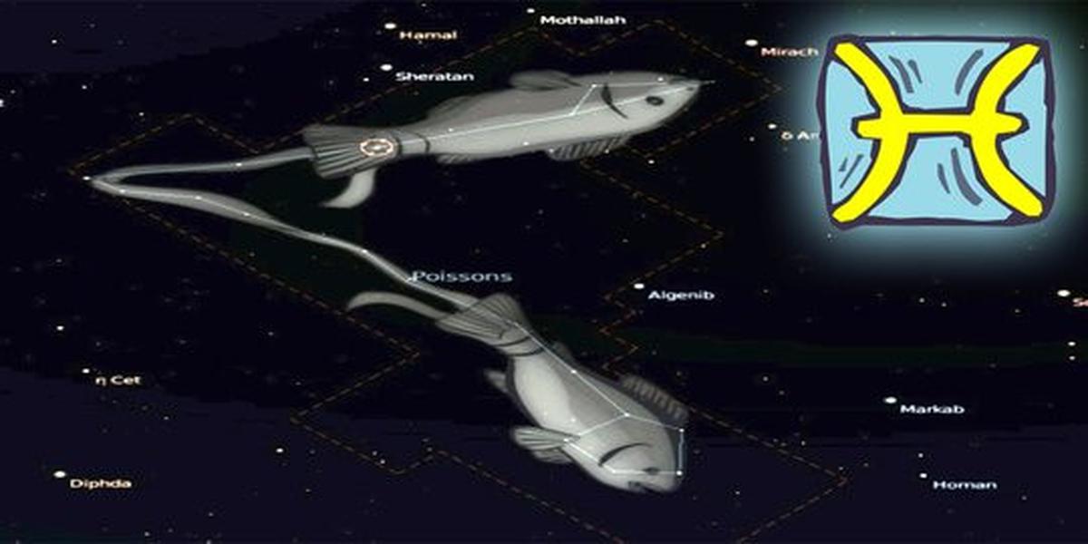 Pisces (19 Februari - 20 Maret)
