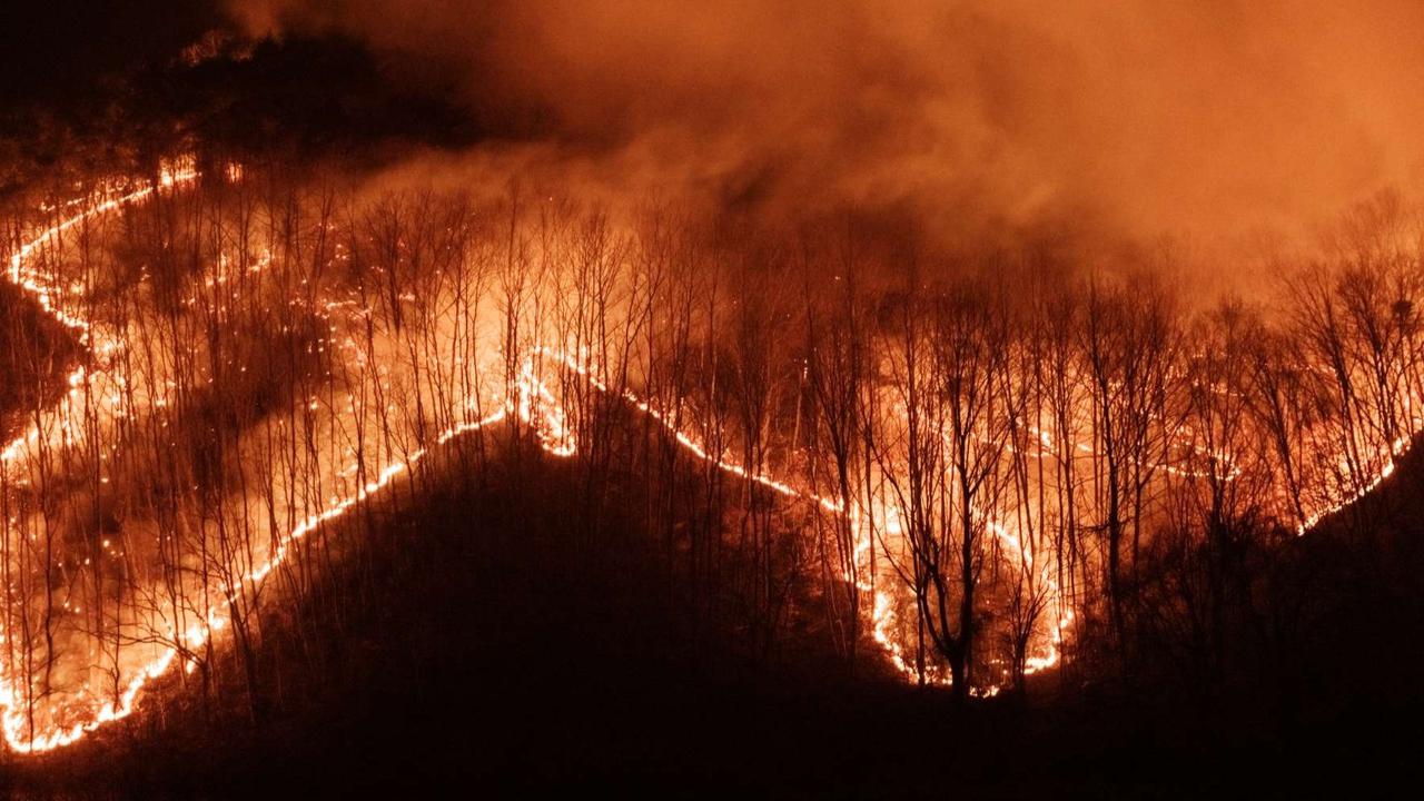 FOTO: Potret Kebakaran Hutan Korea Selatan Semakin Ganas, 18 Orang Tewas