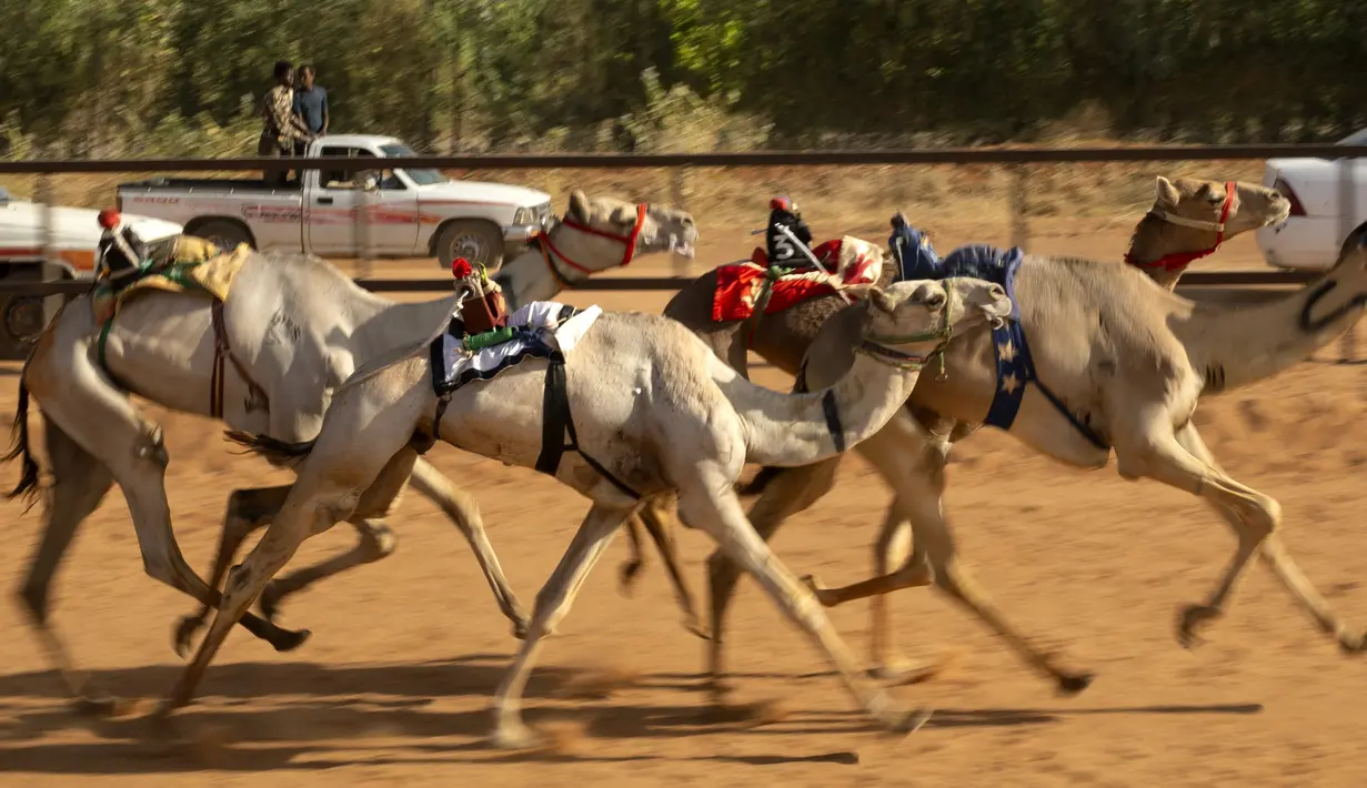Pemuda Sudan bersorak dari belakang truk saat balapan unta di trek dekat desa al-Ikhlas, barat kota Omdurman, pada 19 Maret 2021. Perlombaan diselenggarakan oleh keluarga suku tradisional yang memelihara unta dari desa setempat untuk melestarikan warisan budaya mereka. (ABDULMONAM EASSA/AFP)