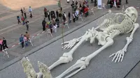 Museum di Italia Dikagetkan dengan Kemunculan Tengkorak Raksasa