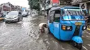 Seorang pria memeriksa ban bajaj saat banjir menggenangi Jalan Jatinegara Barat, Jakarta, Senin (8/2/2021). Selain menyebabkan pertokoan di kawasan itu terpaksa tutup, banjur juga menggangu aktivitas warga. (merdeka.com/Iqbal S. Nugroho)